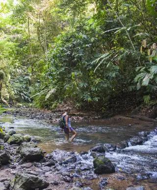 Besuche den abgelegenen Corcovado Nationalpark